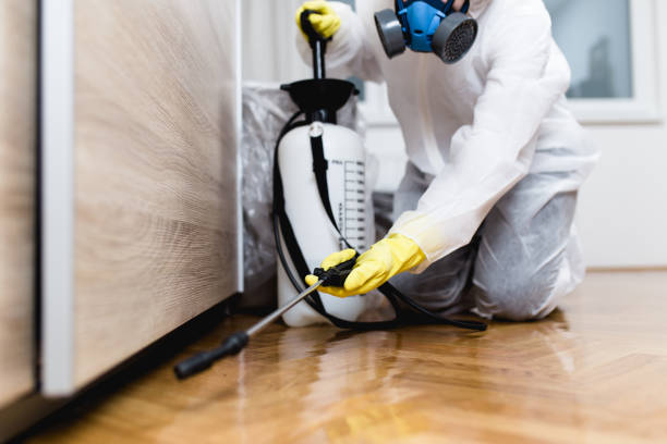 Best Wasp Removal Services  in Wind Gap, PA