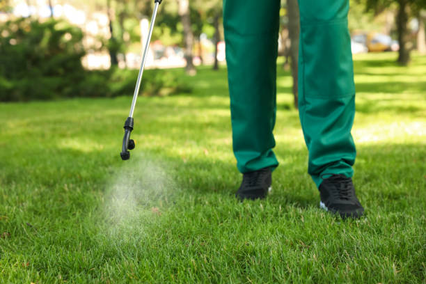 Wildlife Control Services in Wind Gap, PA