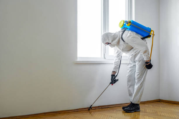 Best Local Pest Control Services  in Wind Gap, PA