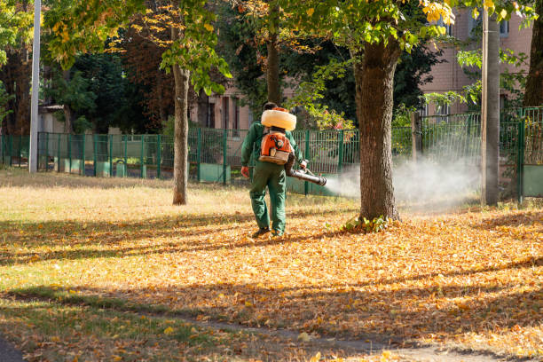 Wasp Removal Services in Wind Gap, PA